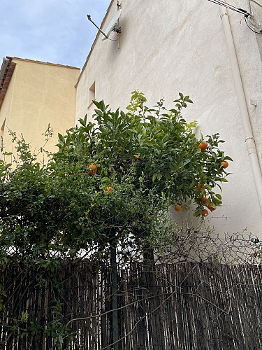 Oranges, rue de Clastre
