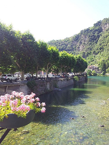 Lac aux Cygnes