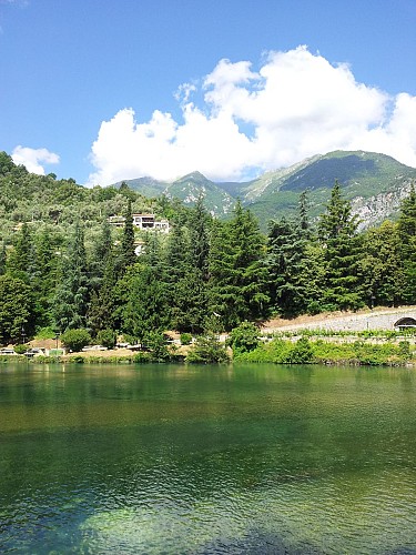 Lac aux Cygnes