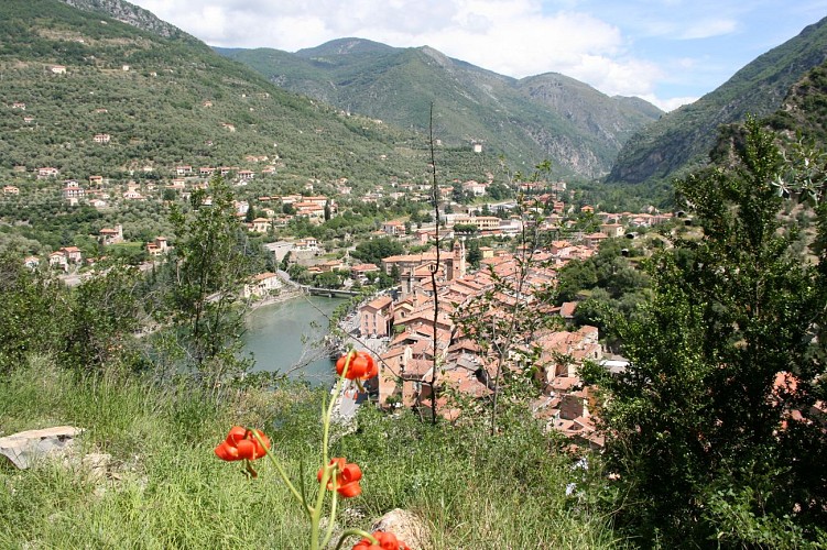 Il lago dei Cigni