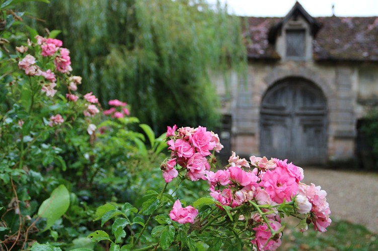 Moulin de Veyriat et Chartreuse de Montmerle