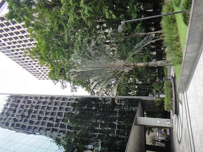 Ballade le long de l'avenue