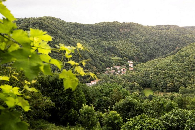 Village Médiéval d'Hautpoul