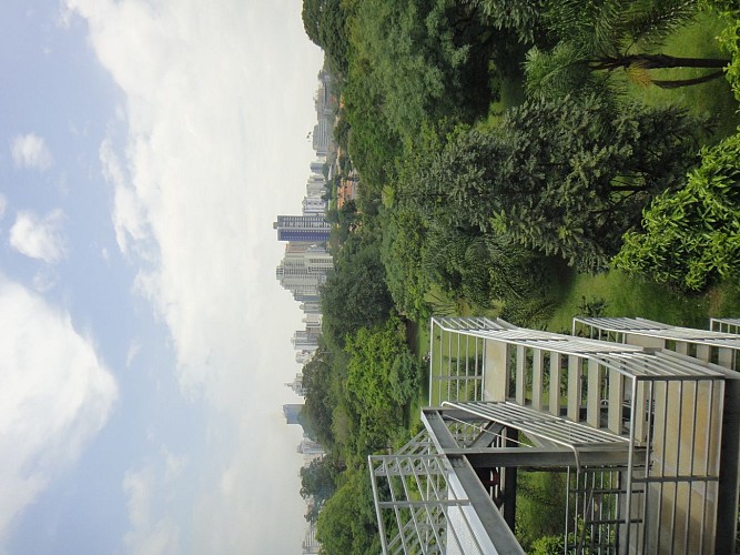 Balade au parc d'Ibirapuera