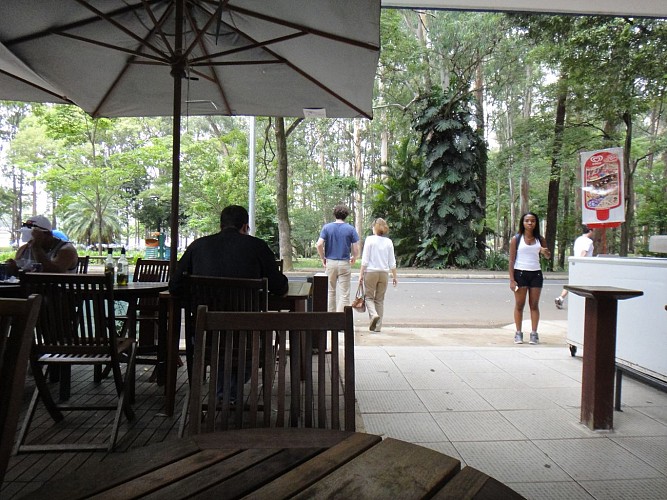 Balade au parc d'Ibirapuera