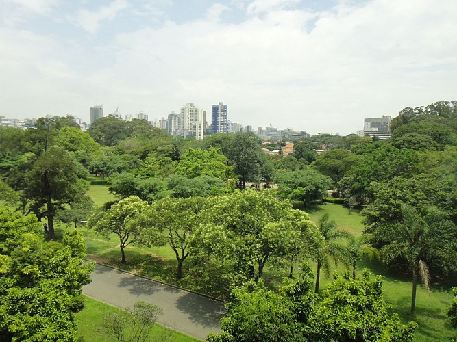 Balade au parc d'Ibirapuera