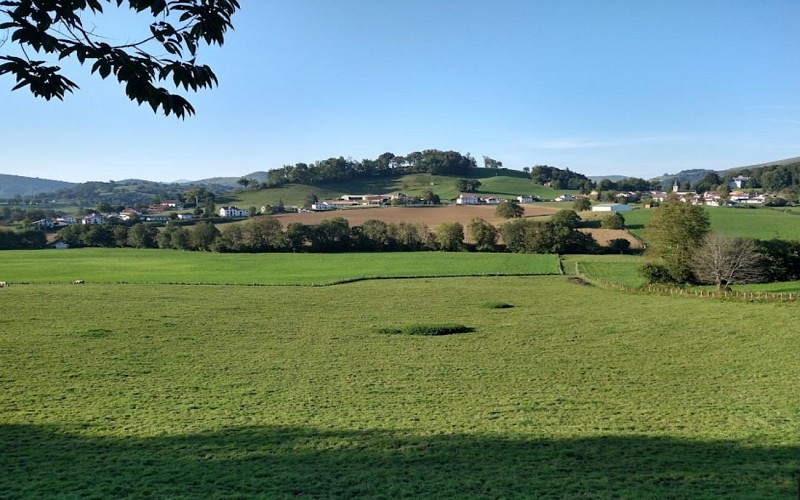 vue 1440 900