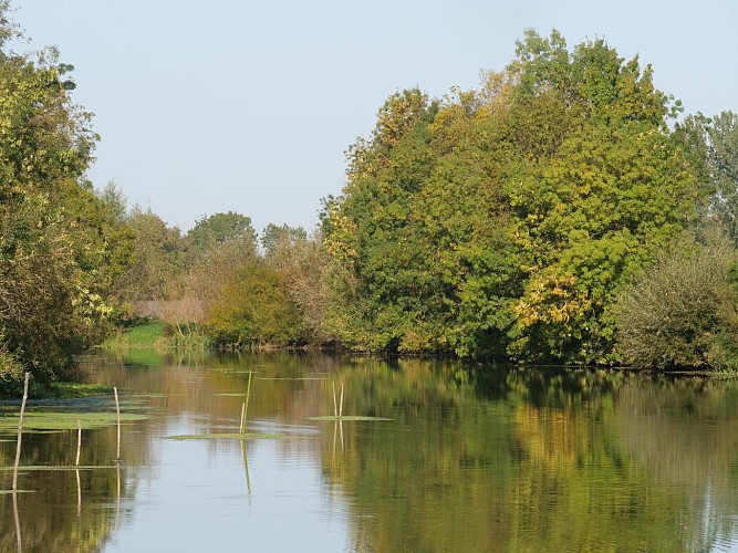Parcours pêche du Moulin D'ivray