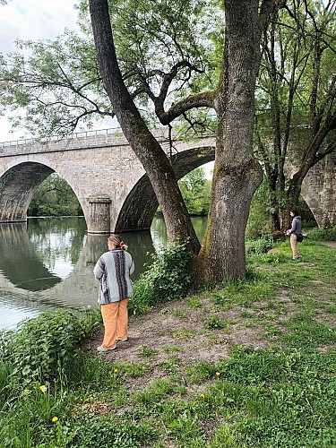 Parcours pêche du Moulin