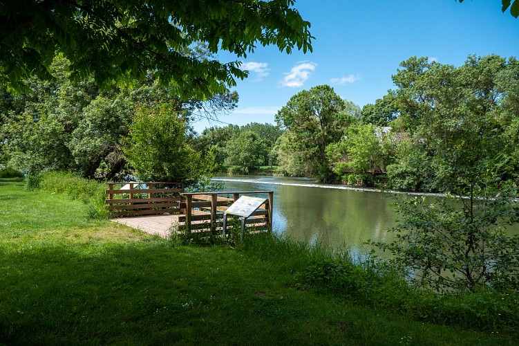 Parcours pêche du Moulin