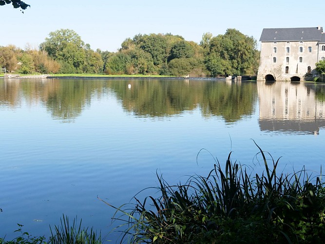 Parcours pêche de Grez Neuville