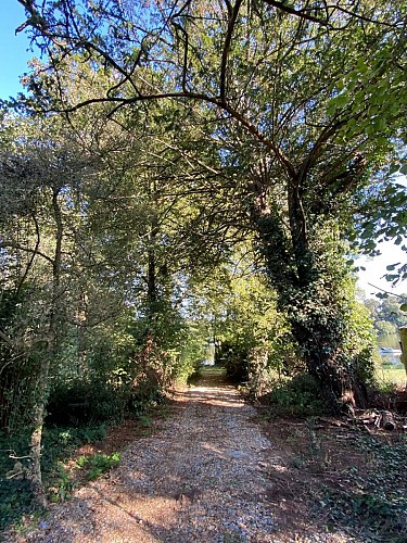 LE CHÂTEAU DE JOHN MILES