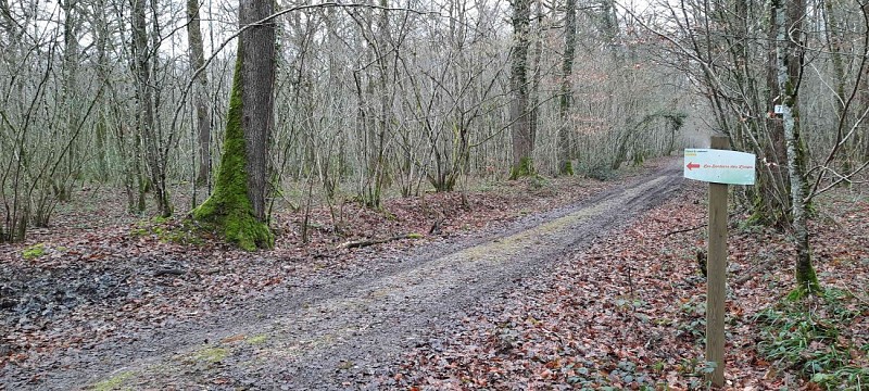 Image du circuit