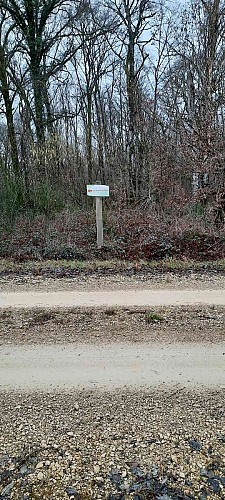 Image du circuit