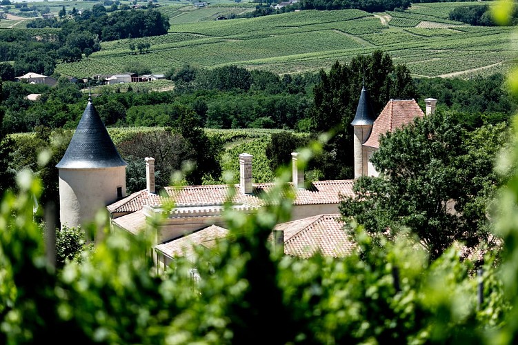 Vignoble avec vue Château Malromé - @benoitlinero