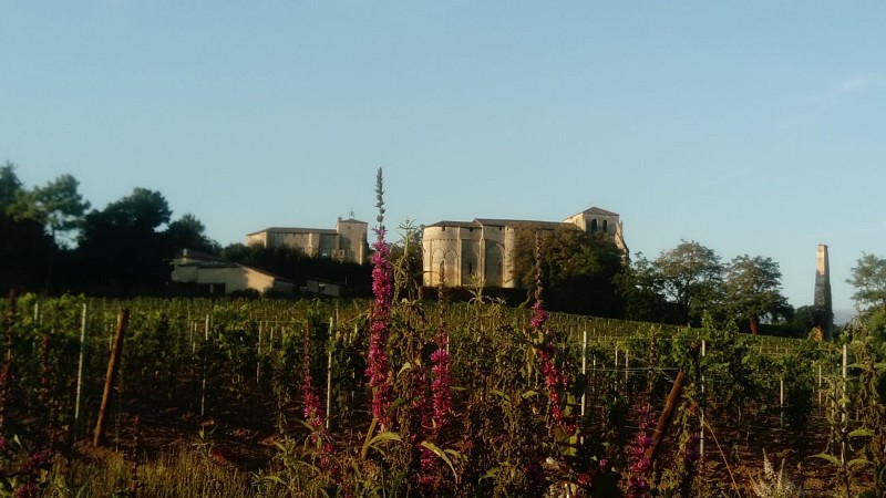 5_ Eglise et château de Pujols