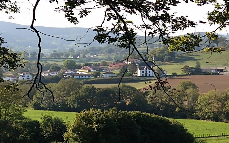 vue 1440 900