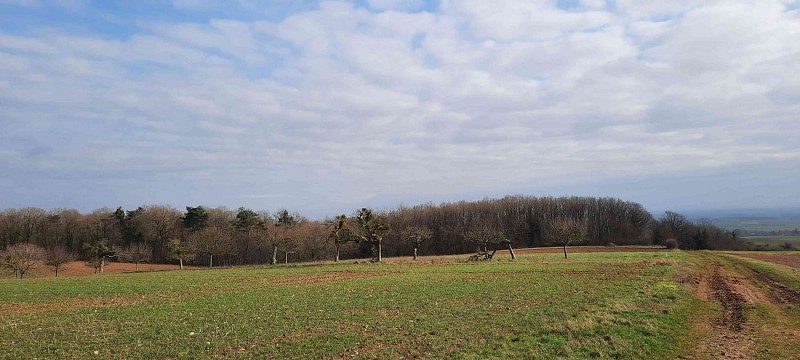 Image du circuit