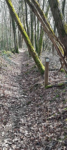 Fossés de séparation
