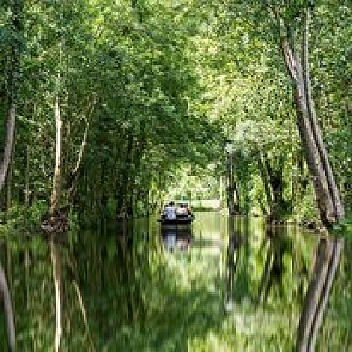 MARAIS-POITEVIN