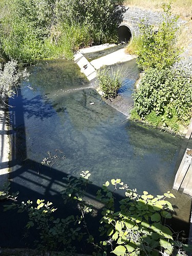 Le pertuis du Broekbeek et son confluent