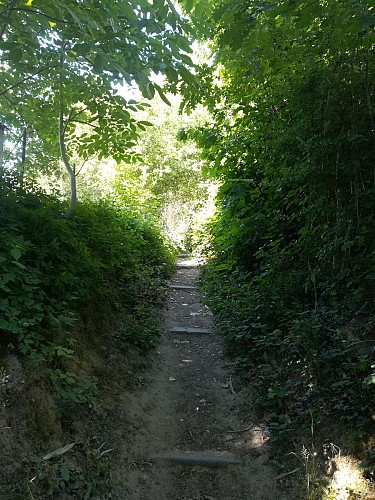 Le sentier le long de la clôture du stade d’entraînement