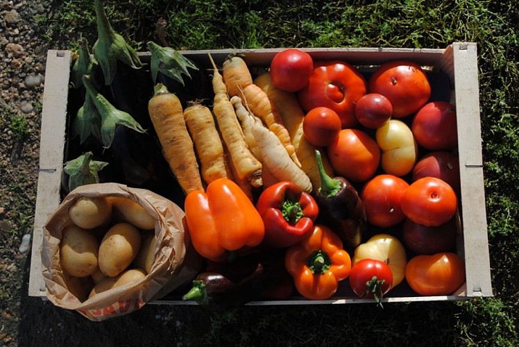 Ferme de Cantis - cagette