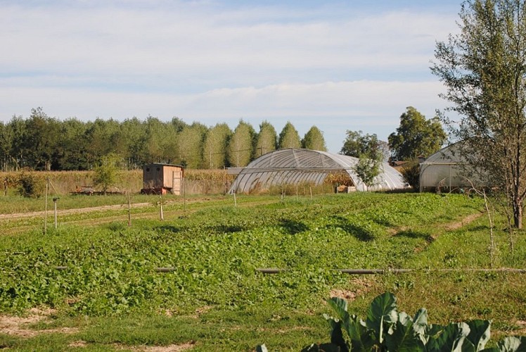 Ferme de Cantis