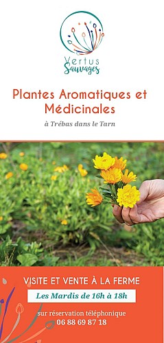 Vertus Sauvages - Visite à la ferme (plantes aromatiques et médicinales)