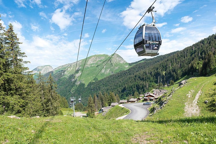 Ardent Gondola Lift