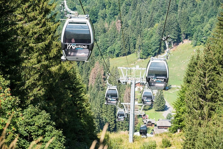 Ardent Gondola Lift