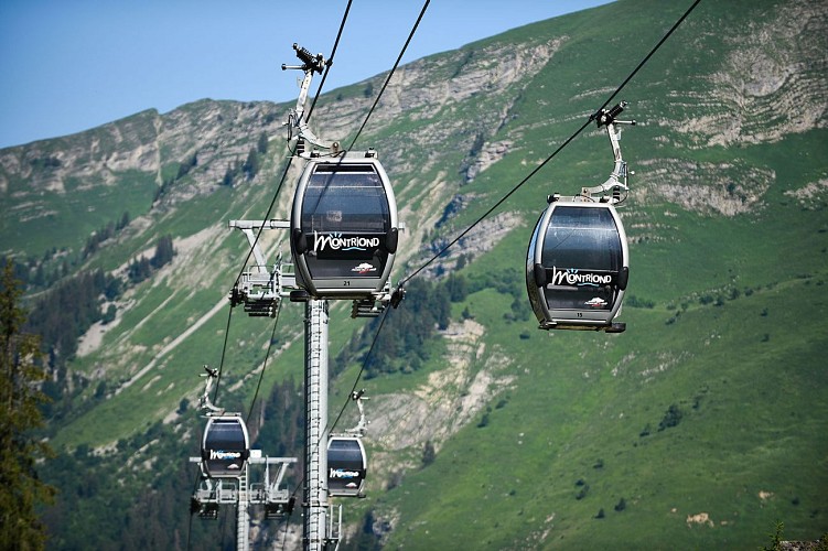 Ardent Gondola Lift