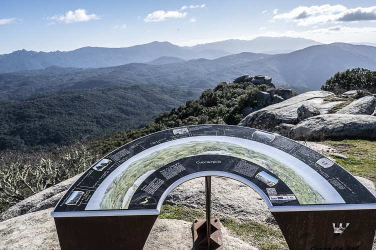 Punta di A Cucciurpula