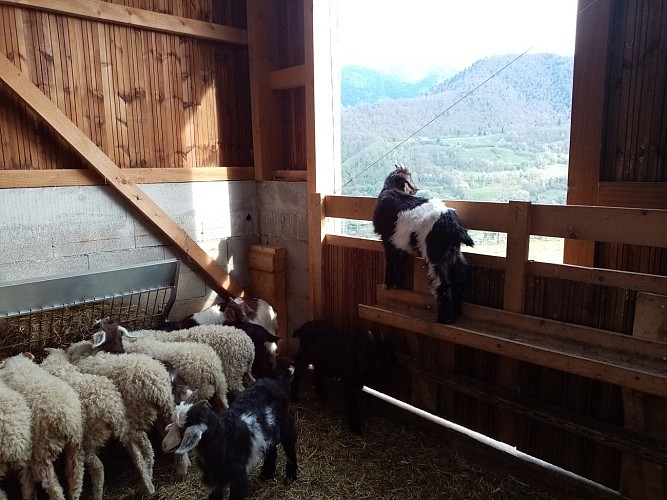 IMG_20210423_183305 (1)