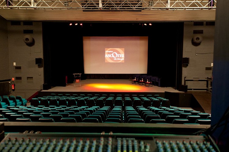 THE ORIGINALS CITY ASCOTEL - Auditorium