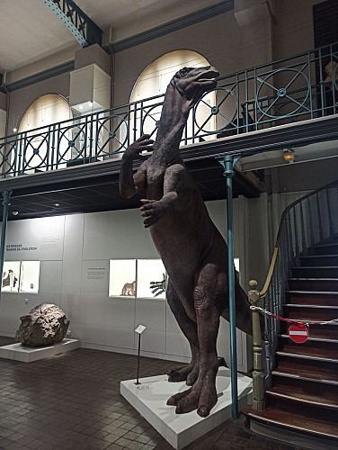 Musée d'Histoire Naturelle