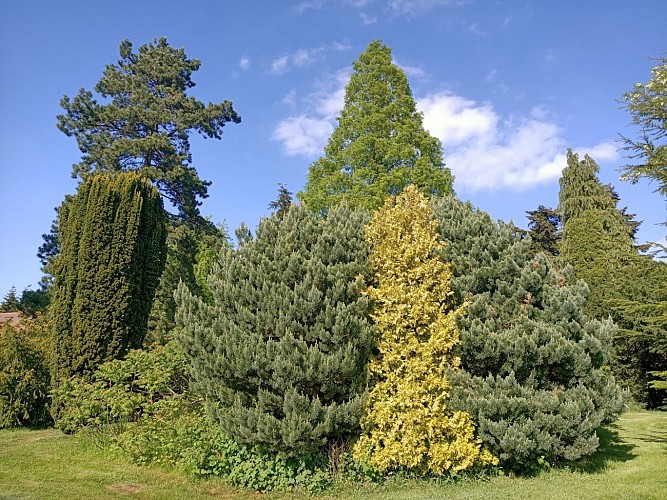 manoir aux loups