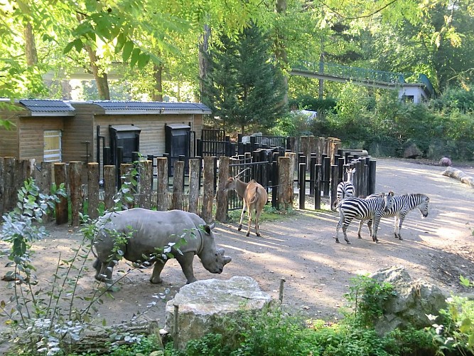 Zoo de Lille © Lille Tourisme (5)