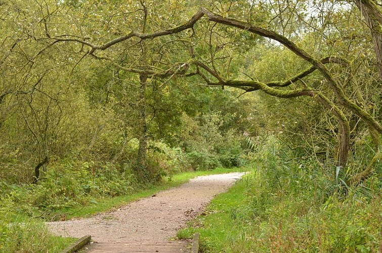 Marais de Fretin