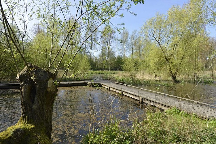 Marais de Bonnance