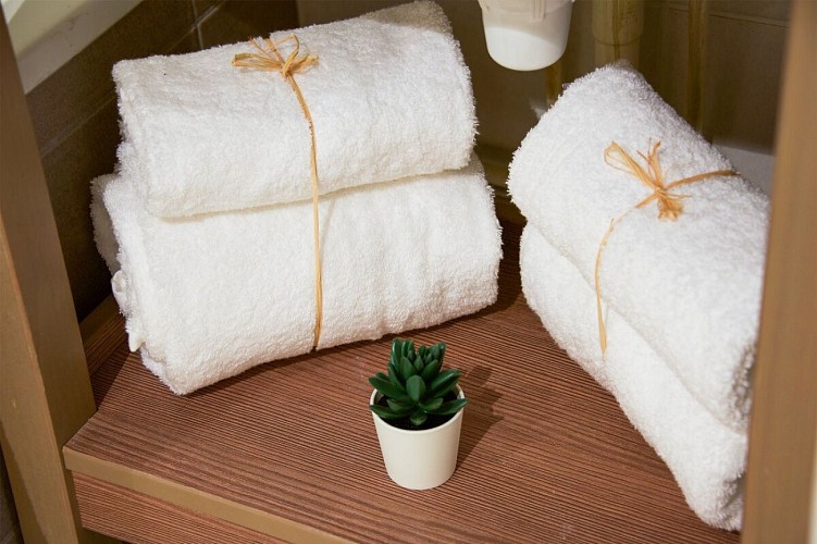 APPART'CITY CONFORT EURALILLE - Salle de bains