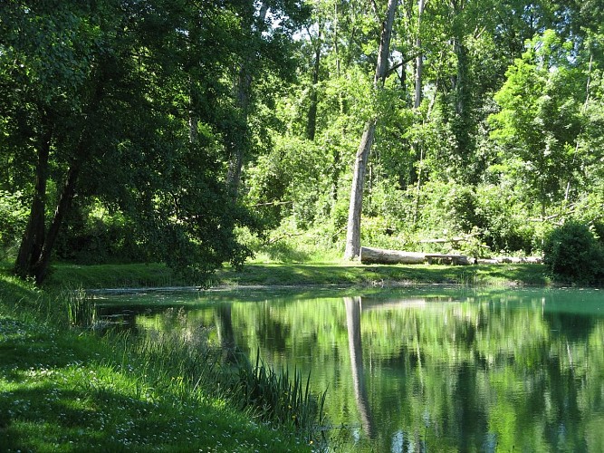 Lac-lou-lacot-artix--2-