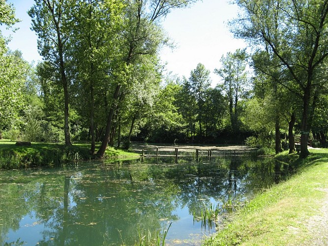 Lac-lou-lacot-artix--3-