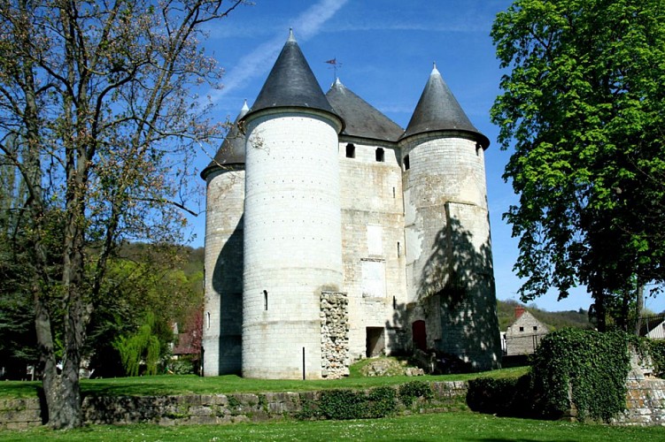 Chateau des Tourelles et le vieux moulin