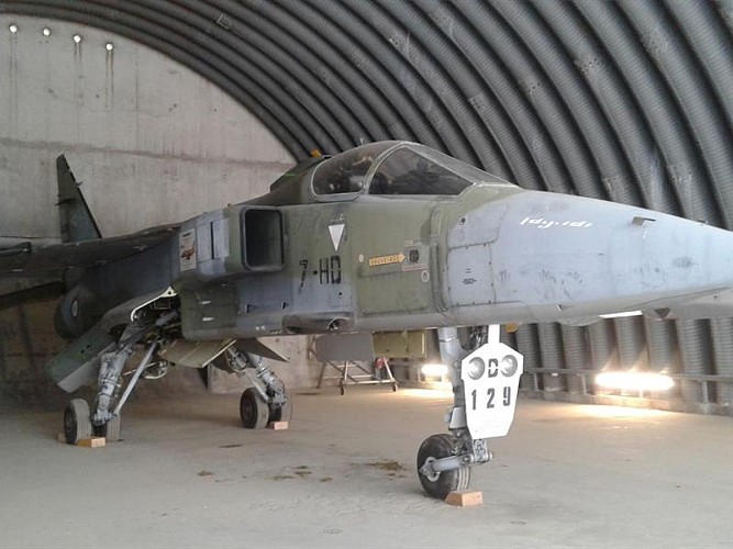 Jaguar dans une hangarette