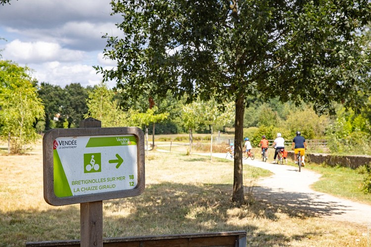 Plan d'eau du Fief des Rainettes