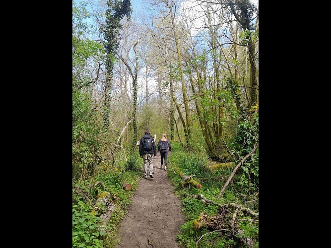 Design sans titre - 1