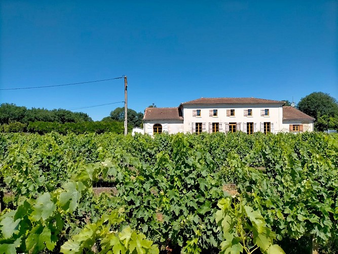 la-maison-de-marie-et-vicent-21