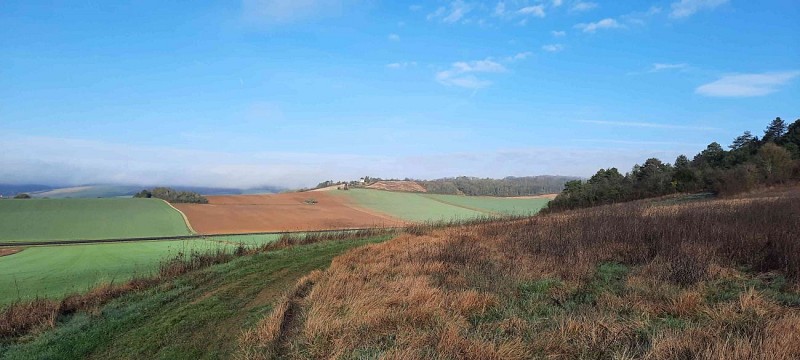Image du circuit