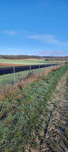 Image du circuit